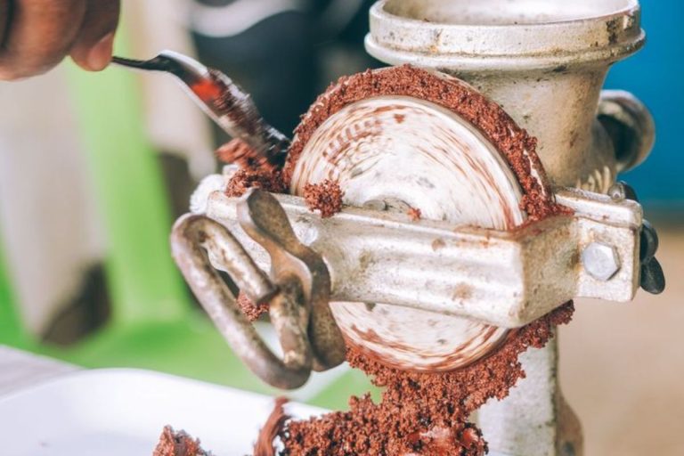 Lire la suite à propos de l’article L’histoire du chocolat, des origines aux 1 er plaisirs français